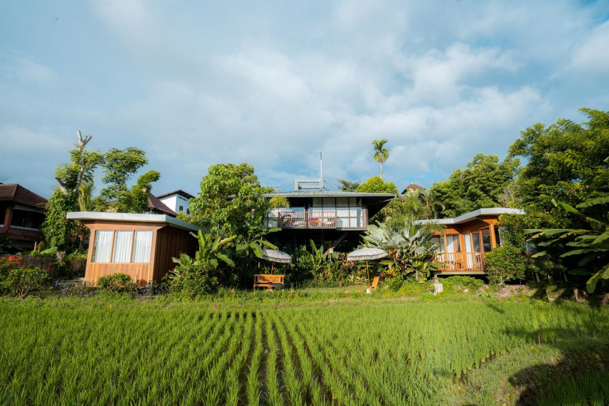 Gruen Ubud Extérieur photo